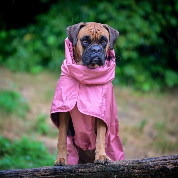 Spark Paws Breatheshield Dog Raincoat Medium 10-15Lbs Sea Pink - Picture 4 of 16